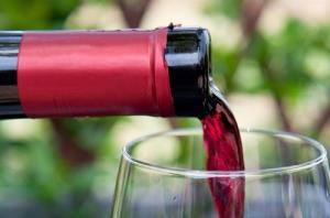 Ustanovni zbor Civilne iniciative za spoštovanje zaščite vina terana2